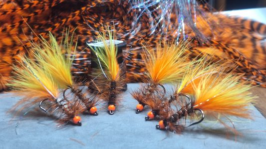 20250604_012625-scaled